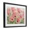 Stupell Industries Shabby Chic Poppy Garden Framed Print Under Glass, design by Maya Blooms